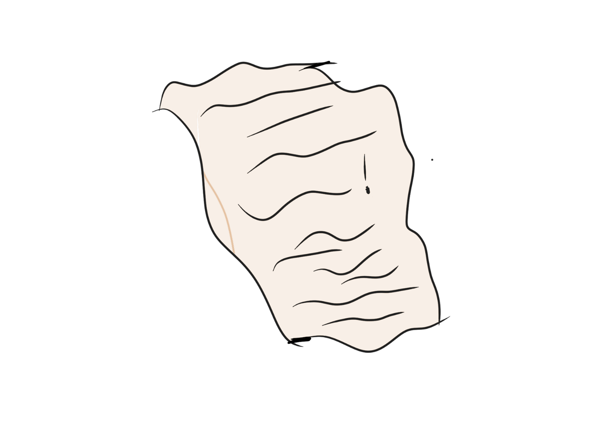 ОР (Отряд редакторов)