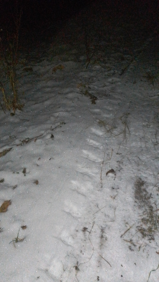 След вездехода