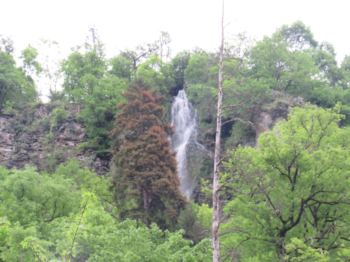 Парк в Боржоми