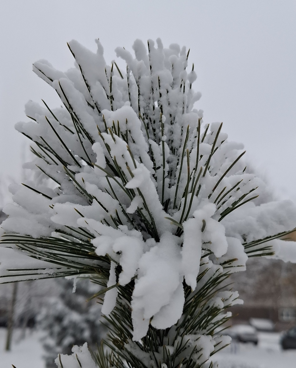 Самое важное из которых -  