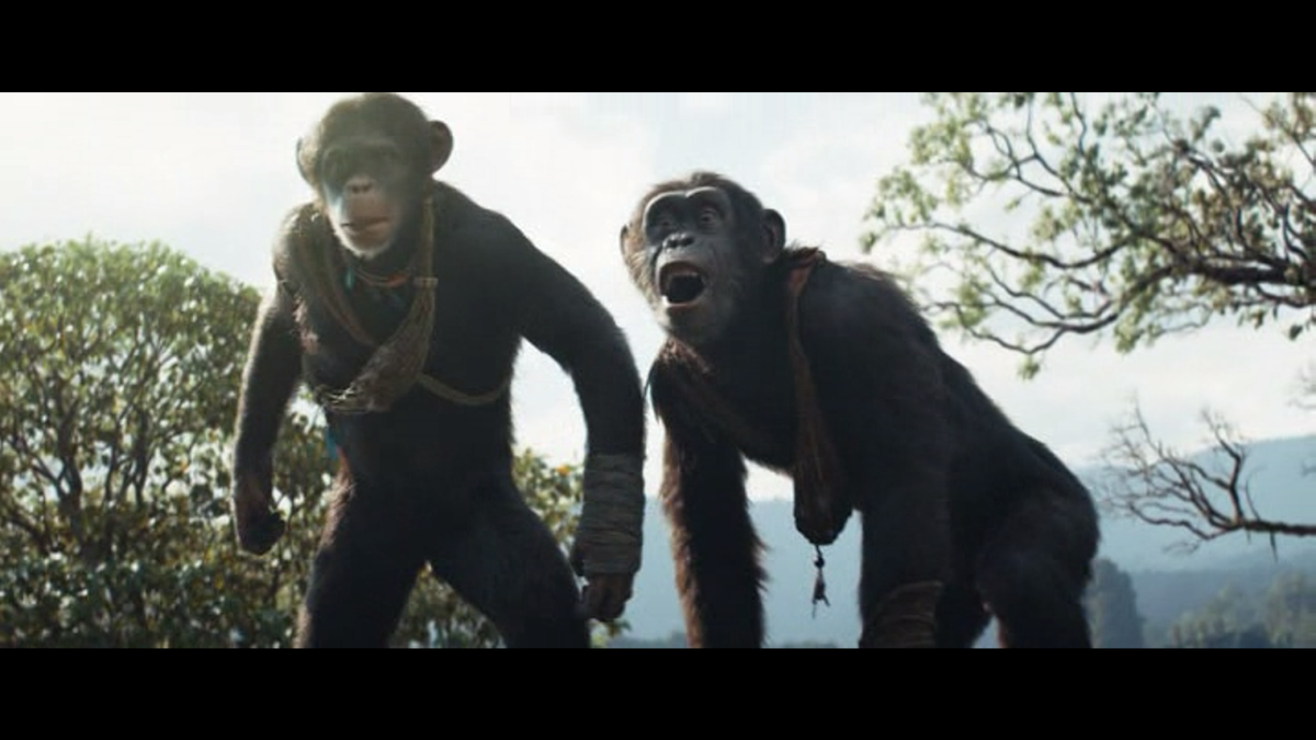 Кадр из фильма Планета обезьян: Новое царство (2024)