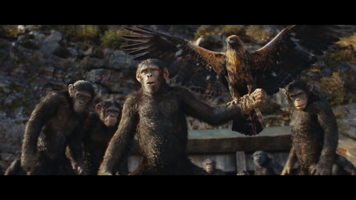 Кадр из фильма Планета обезьян: Новое царство (2024)
