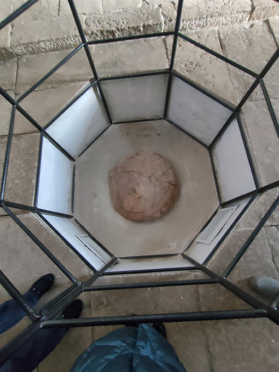 Вот он, омфалий. Какой он симпатичный. Фото автора.