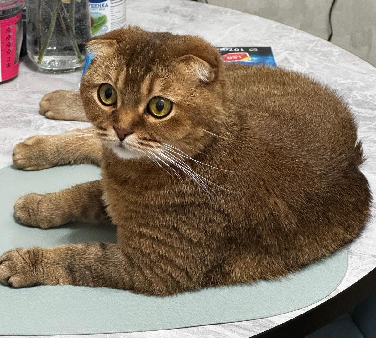 Мэй Ли (из личного архива)