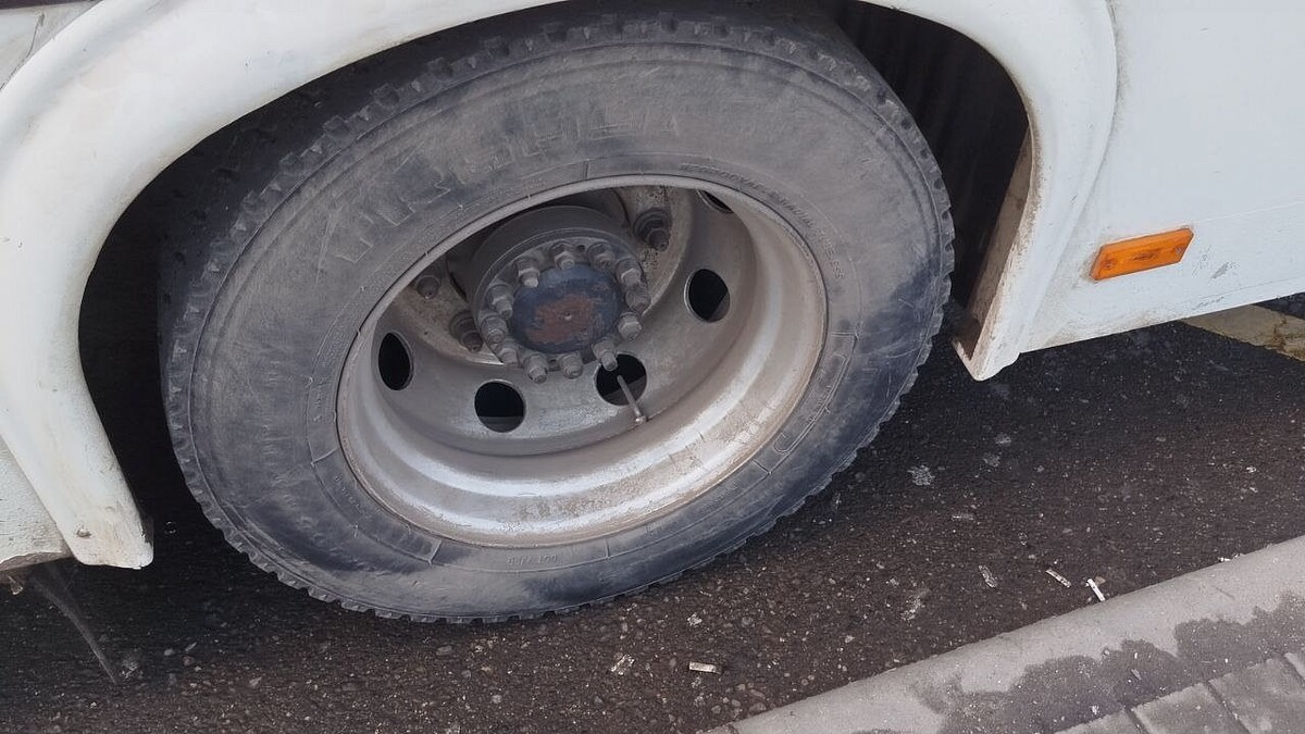    фото: телеканал «Краснодар»