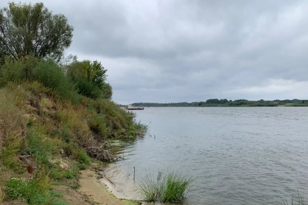    Синоптики прогнозируют низкий уровень воды в Оке во время половодья