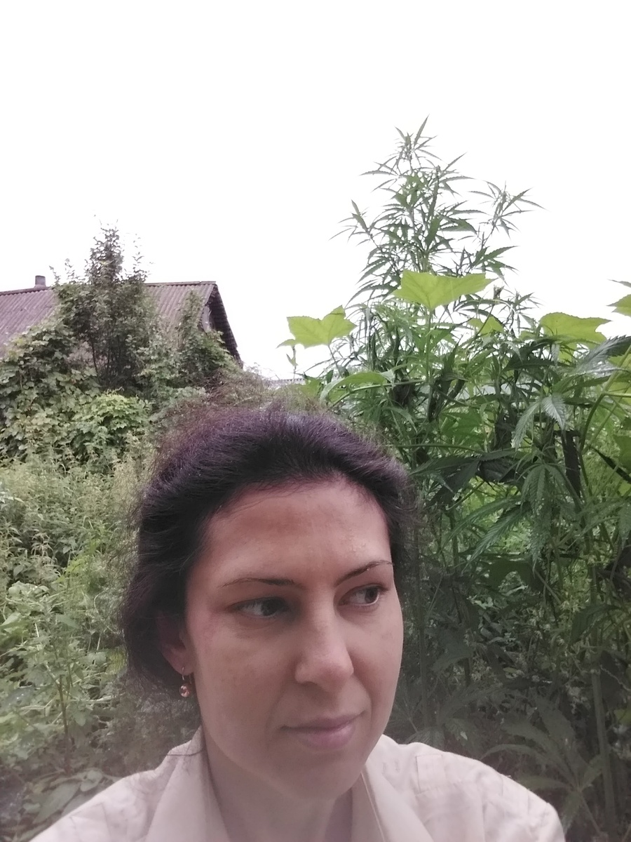 Это я в своём "лесу"