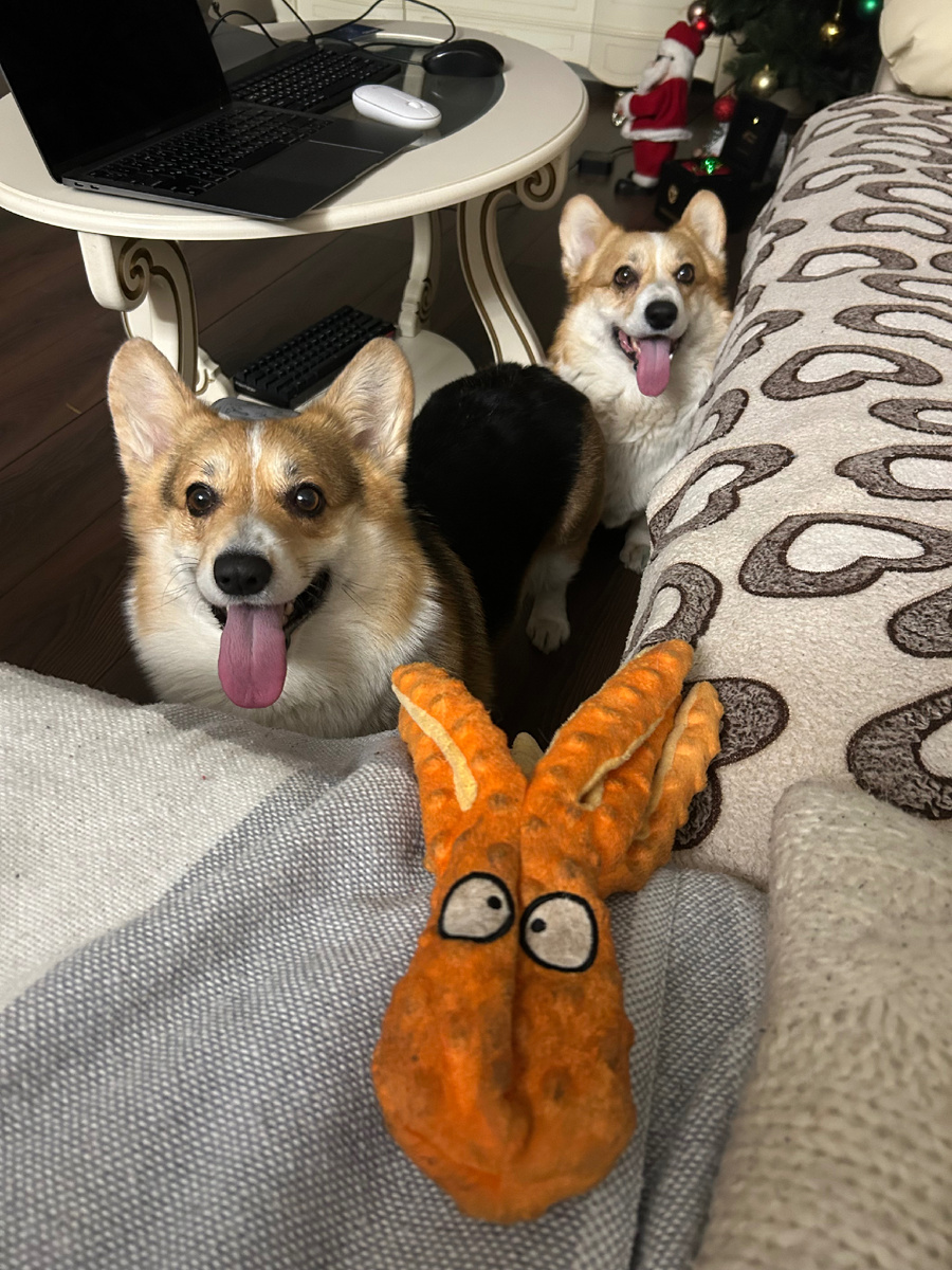 Ма, давай играть! 🥰