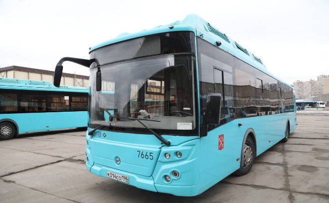    © Роман Пименов / «Петербургский дневник»