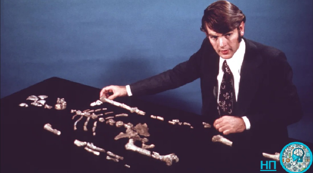 Дональд Йохансон со скелетом «Люси» в 1975 году.