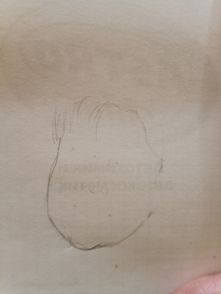 Фото автора. Лицо карандашом.