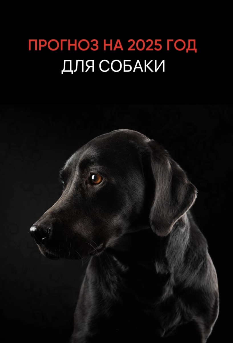 Индивидуальный прогноз по каждому элементу личности на 2025 год можно забрать здесь 👇