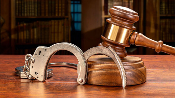    Адвокат Фогеля подтвердил, что американец освобожден и покинул Россию Егор Гордеев