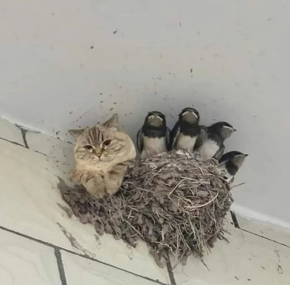 ����������� �� ���������� ��������� 