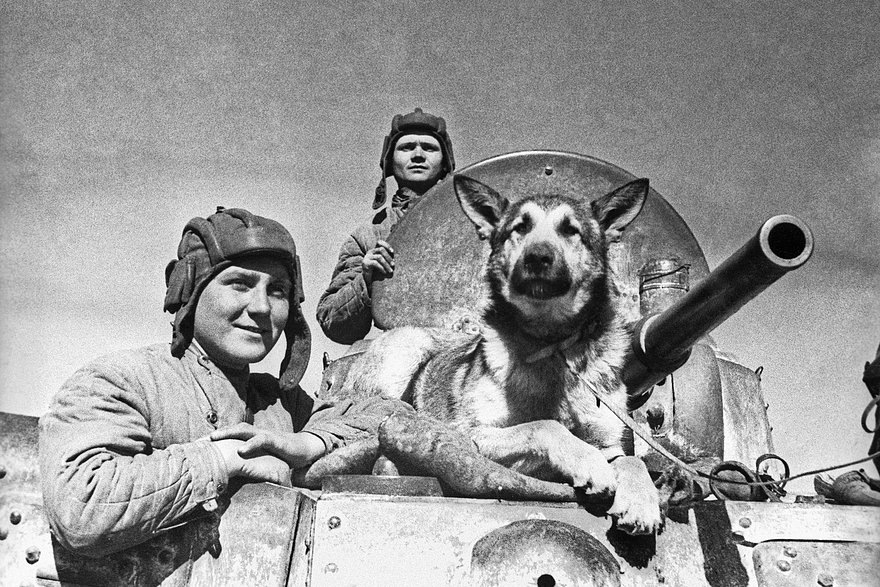    Фото: Эммануил Евзерихин / ТАСС