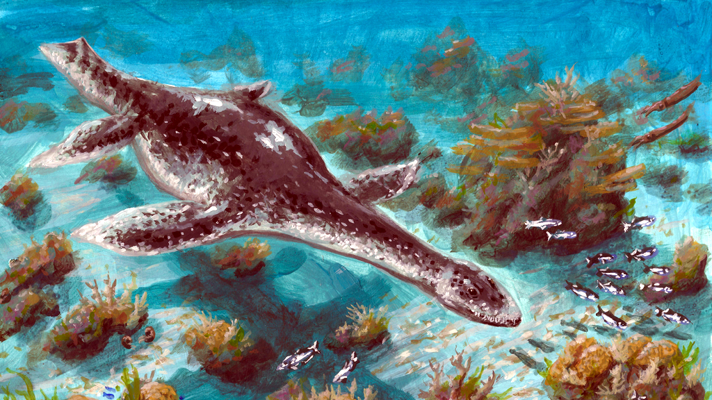 При жизни окаменелость, видимо, выглядела где-то так.