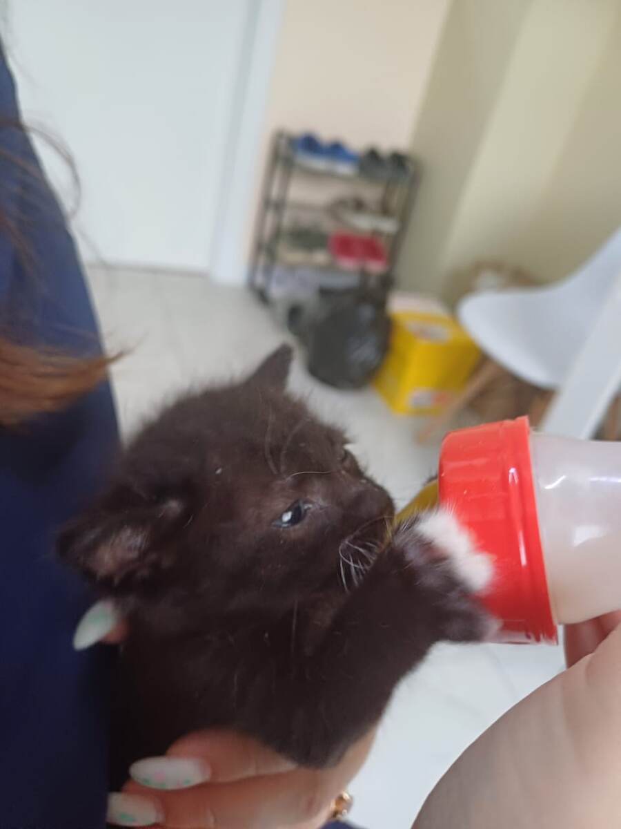 Аппетит всегда был отменный