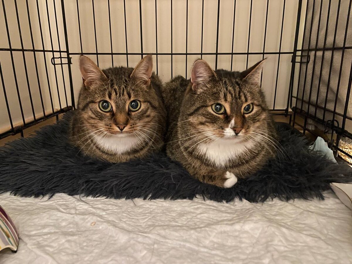 Сами в шоке!