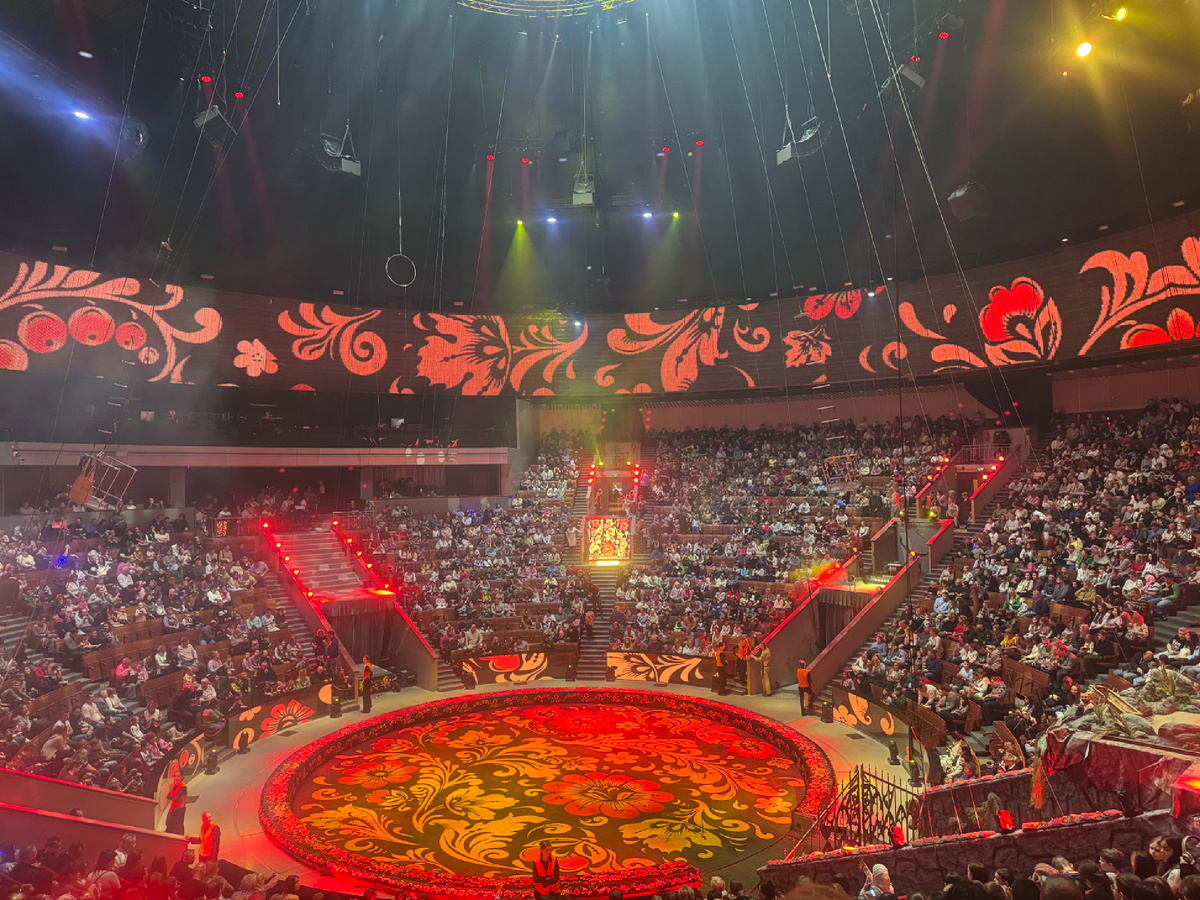 Арена до начала представления.