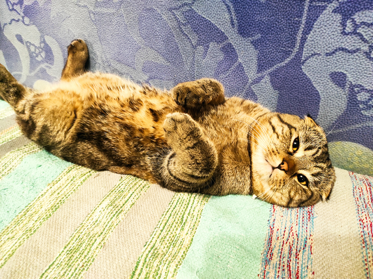 Меланхолия, она такая