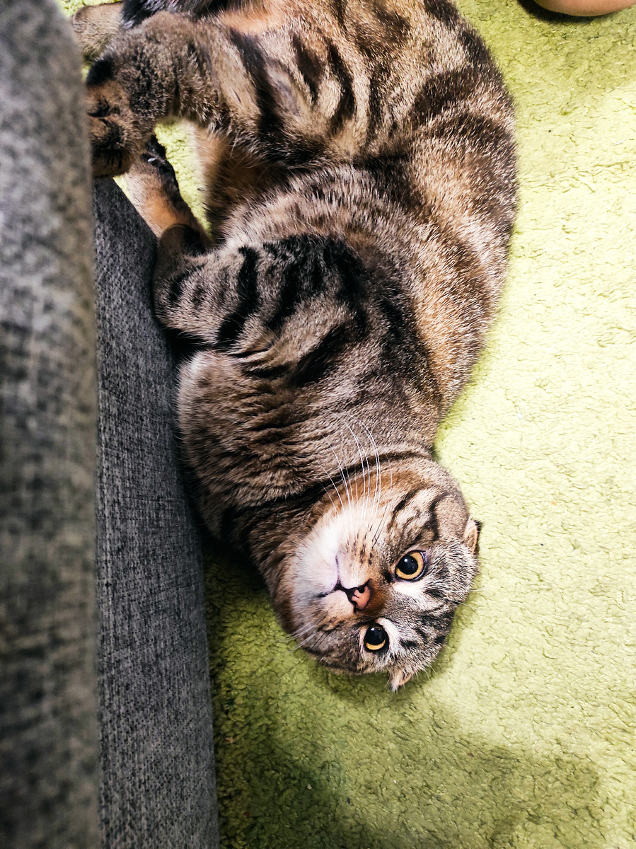 Синтезатор – это вам не скрипка Паганини