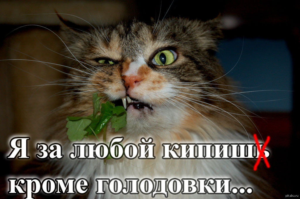 источник Яндекс-картинки