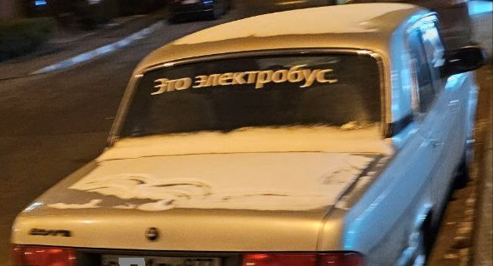 Фото автора вчера во дворе