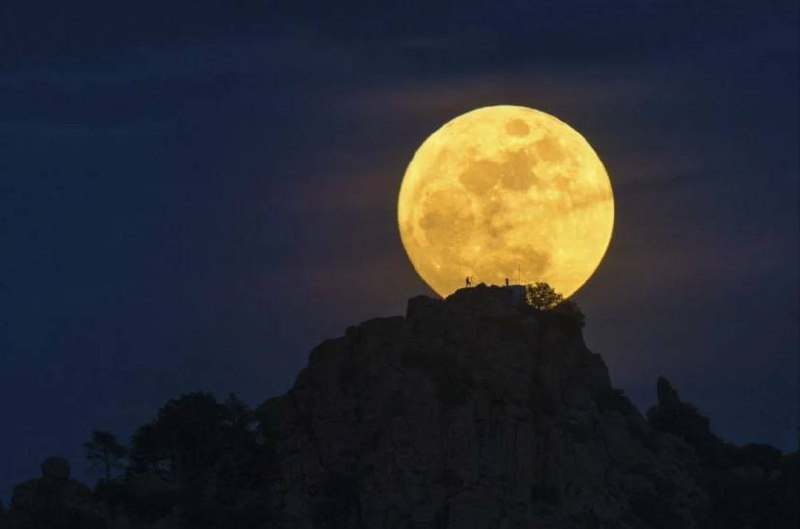 Фото из открытых источников