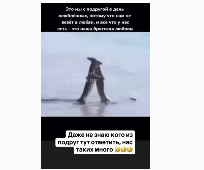 Алсу и День всех влюблённых