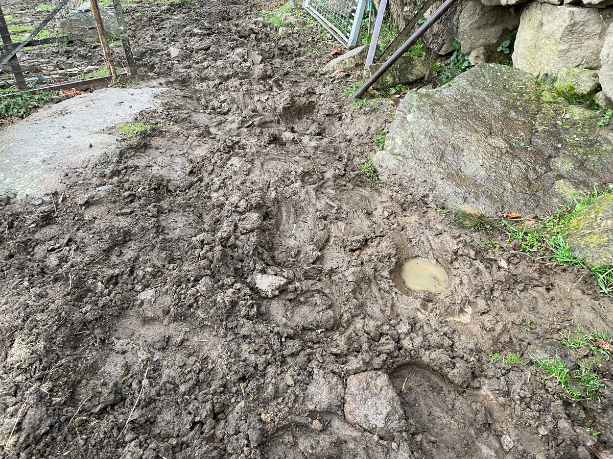 Вот как по такому без резиновых сапог пройти?