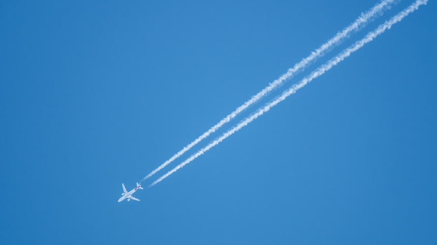    Фото: www.globallookpress.com/Silas Stein;5-tv.ru