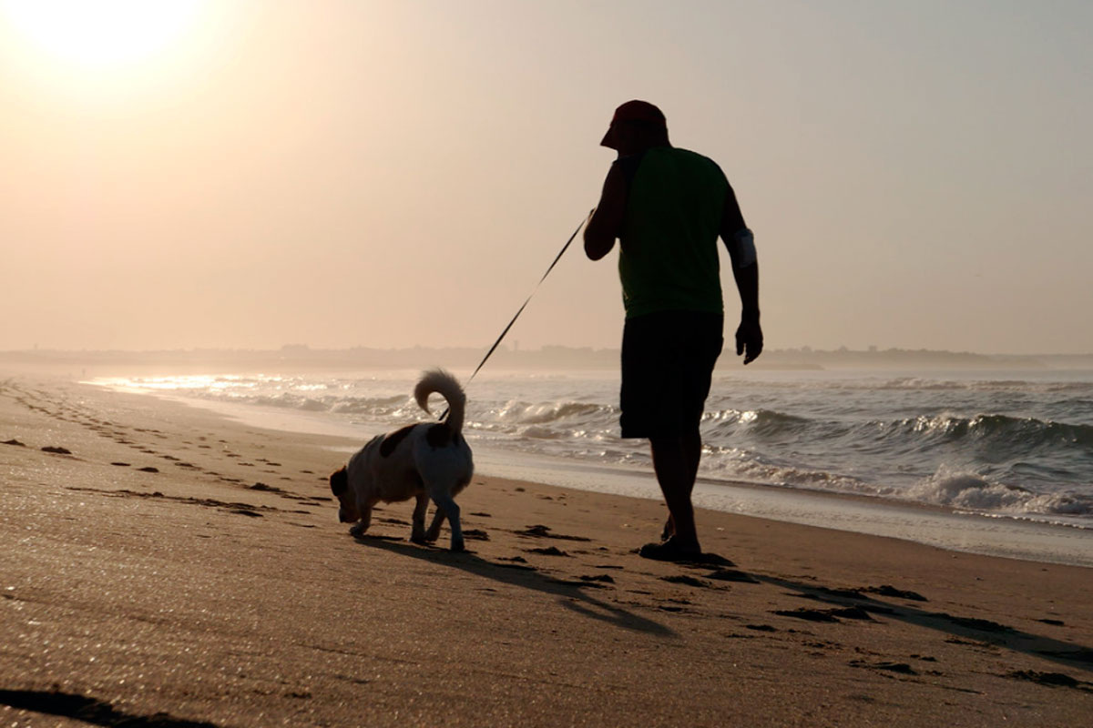 Отцовская депривация  стала самой распространённой формой жестокого обращения с детьми в наше время