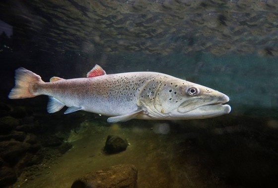    IMAGO/W. Willner/www.imago-images.de/Global Look Press