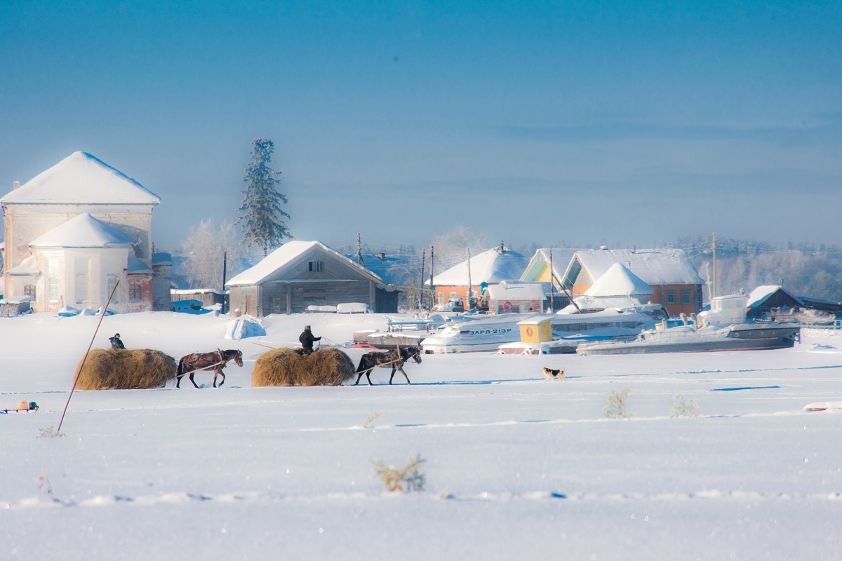 фото: Konstantin Kokoshkin/Russian Look/Global Look Press