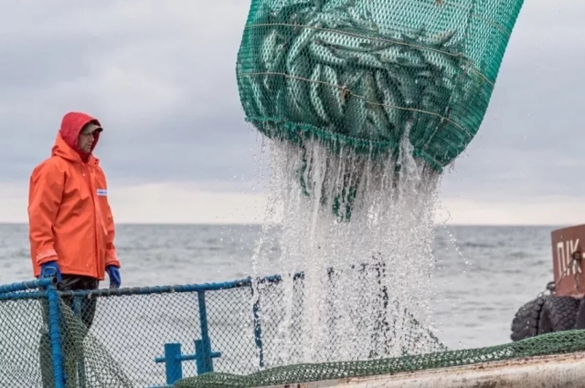    Брат экс-губернатора Приморья Олег Дарькин будет гендиром НБАМР ещё год