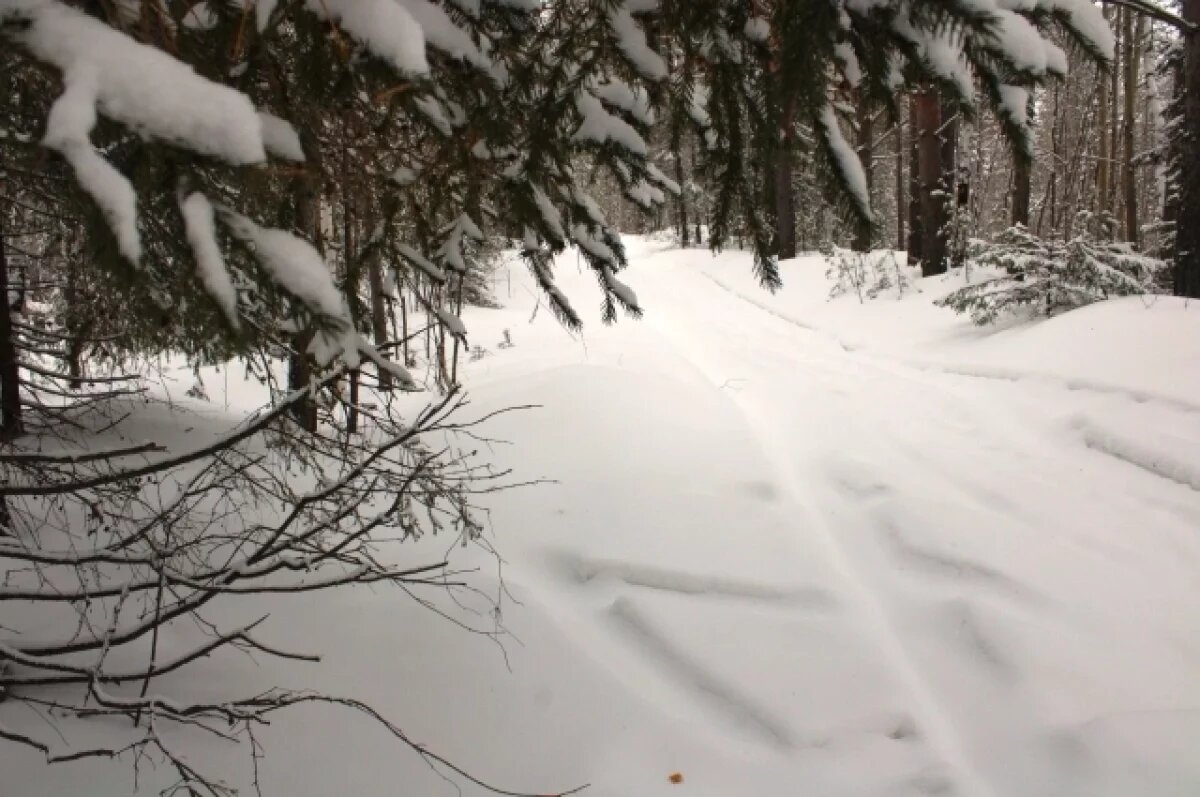    Спасатели завершили экстремальные тренировки на севере Забайкалья