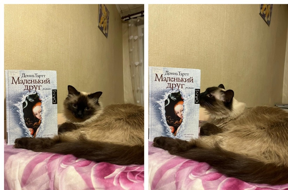 Сегодня книгу из городской библиотеки представляет Джессика - она её чем - то очень заинтересовала