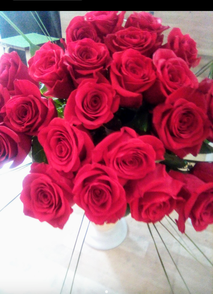 Моя самая любимая роза