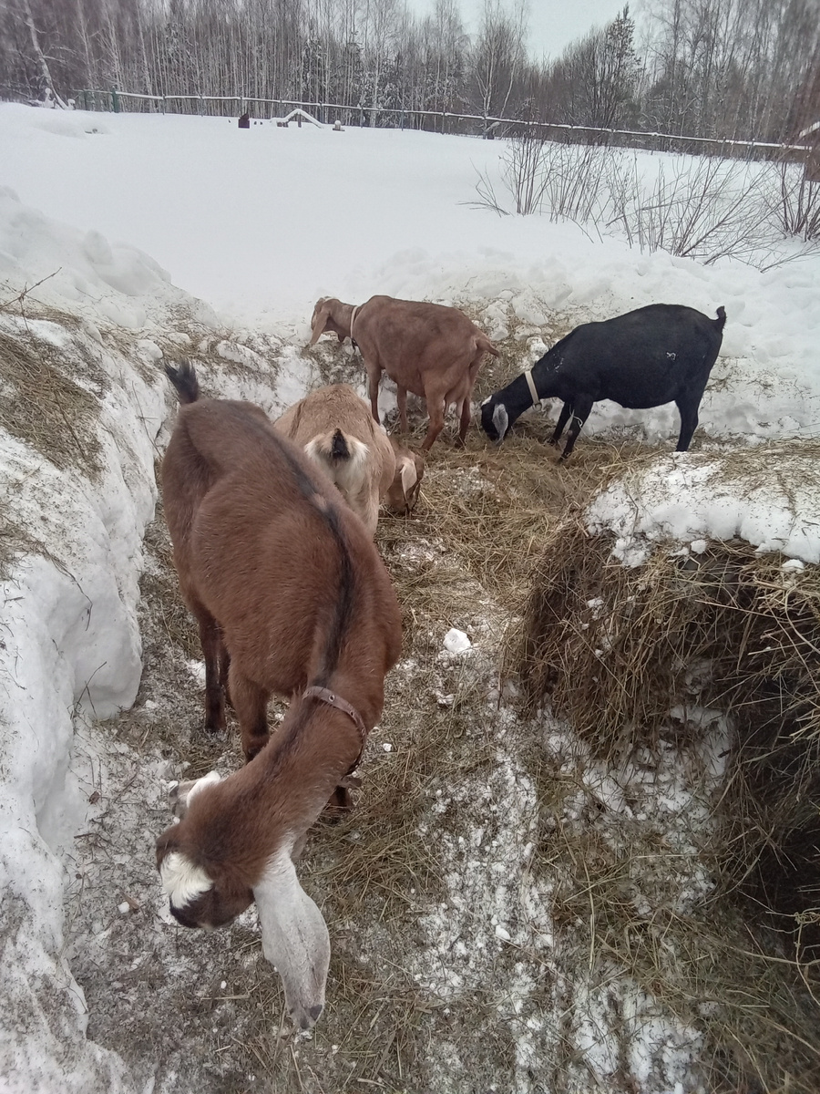Фото автора.