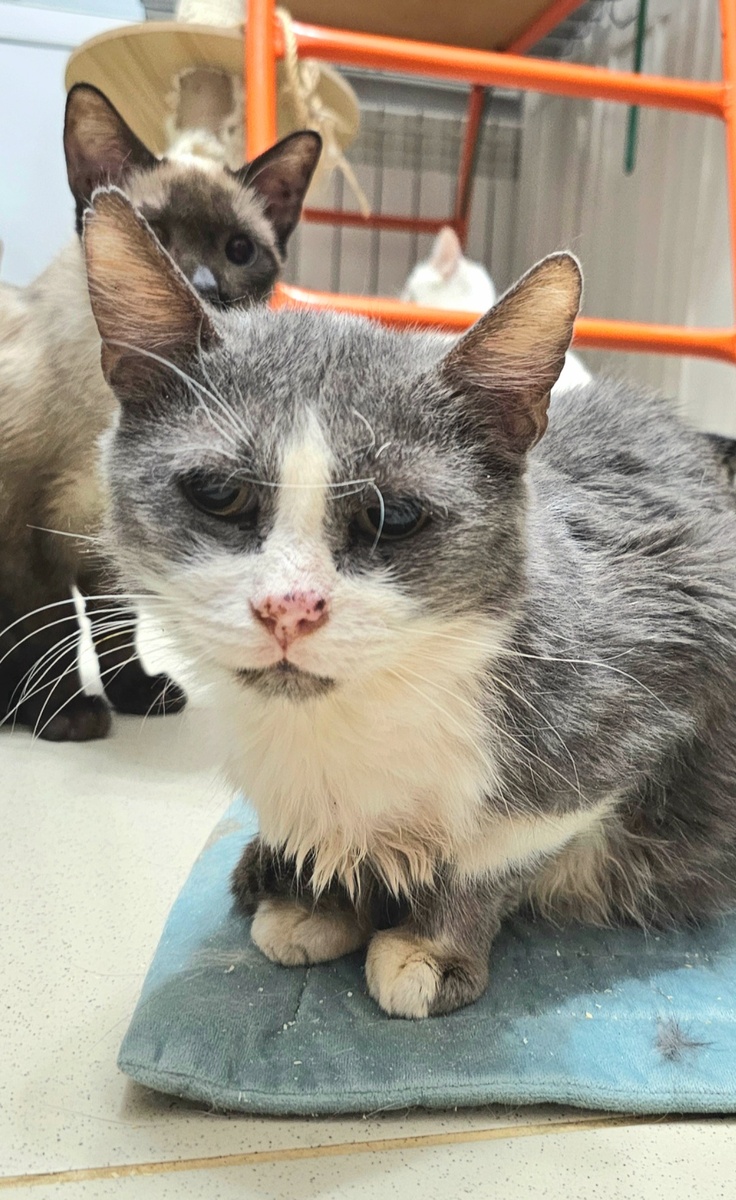 Фото автора. Дедуся наш.