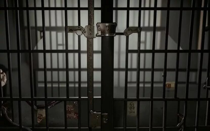    Водитель в Ижевске получил год колонии за нападение на инспектора ДПС