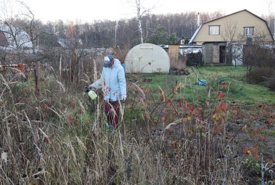    Андрей Егоршев/NEWS.ru