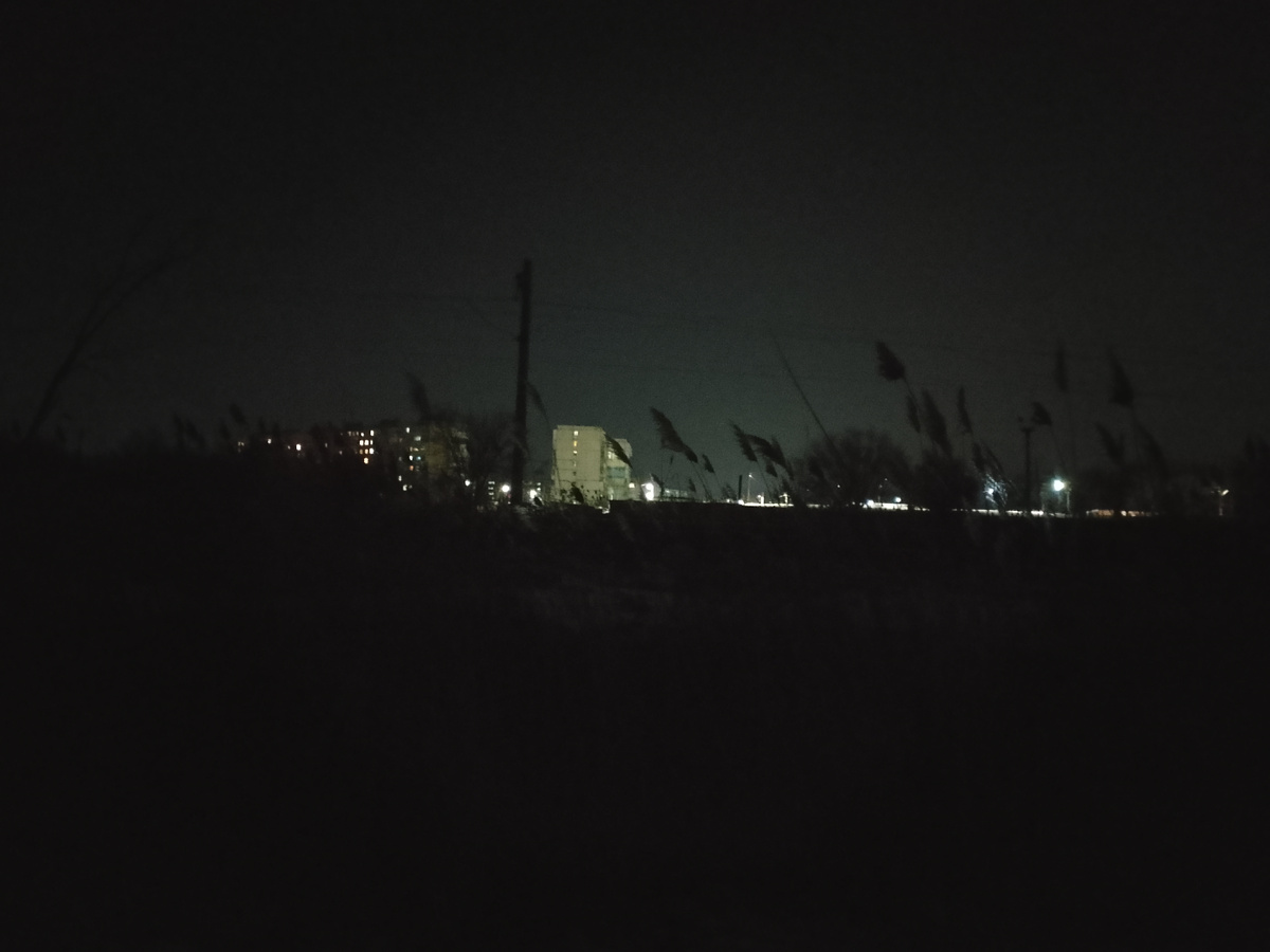 Прошёл рощу в центре Кулешовки