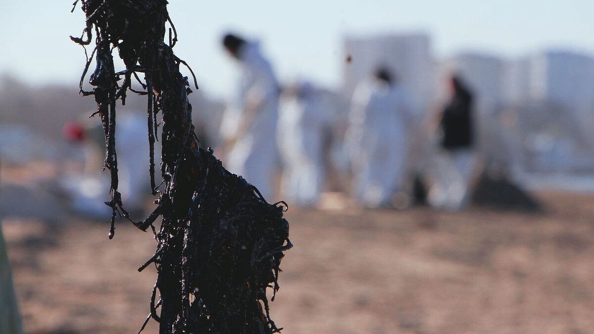    Фото: Оперативный штаб Краснодарского края