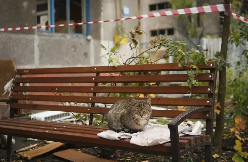     © РИА Новости Алексей Майшев