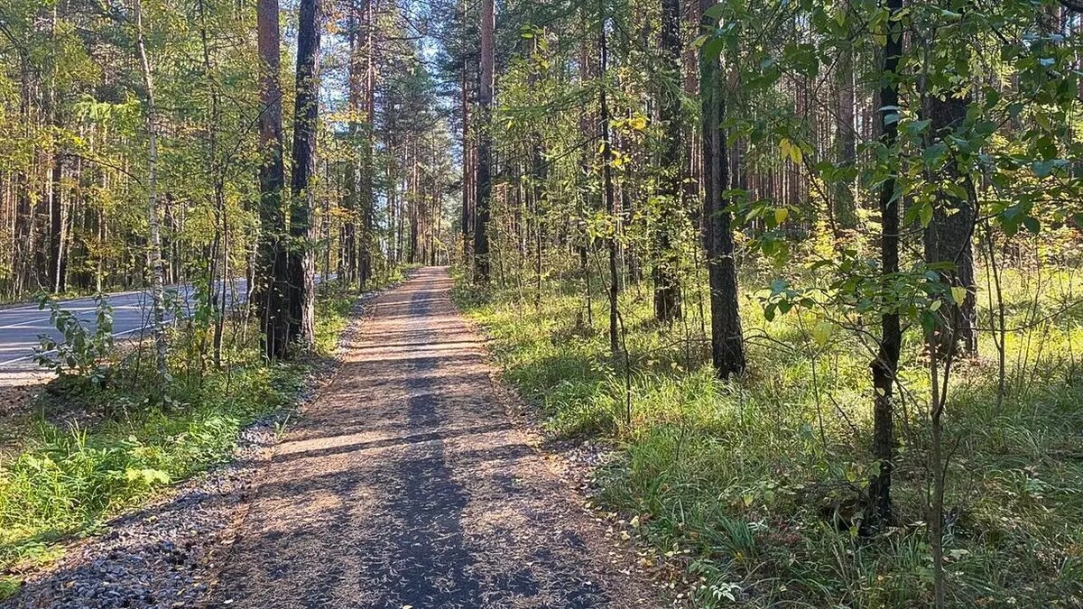     Источник: 1MI