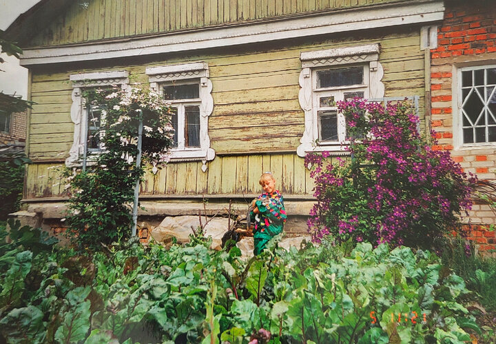 Молоденькие клематисы" Хулдин" и "Юбилейный-70"на фоне свекольной ботвы😂1997 год.