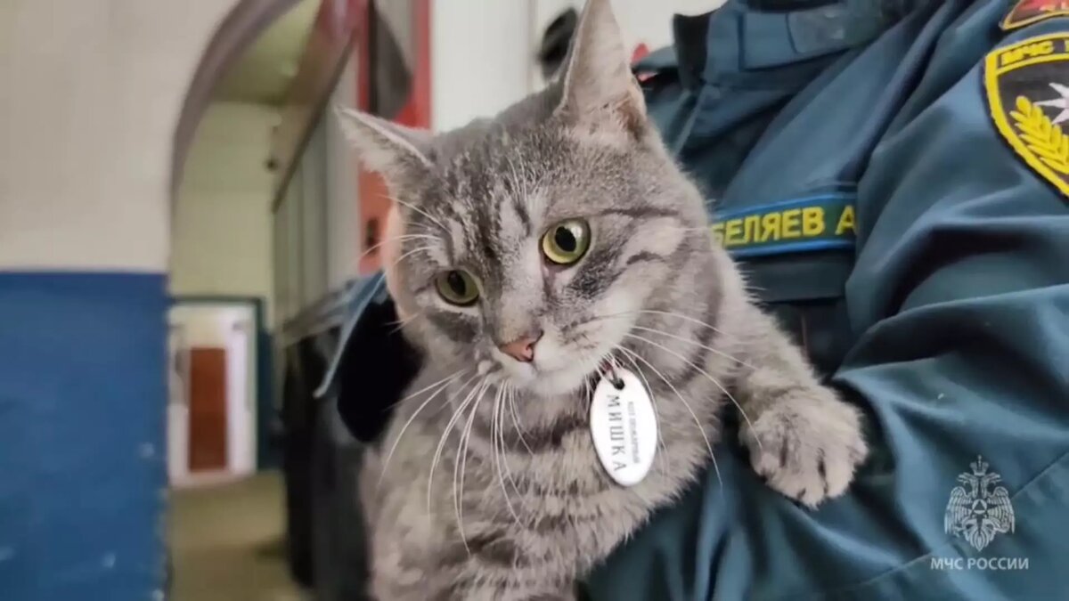     Источник: vk.com/скриншот видео пресс-службы МЧС по Удмуртии