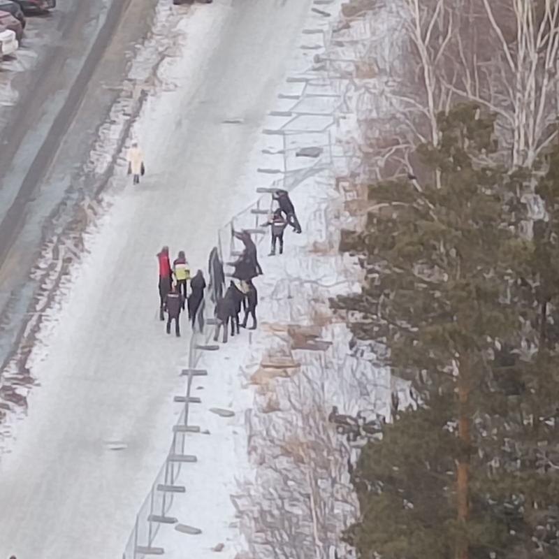    Алексей Власов