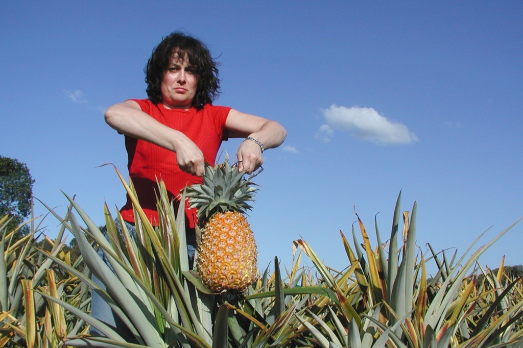 Июнь 2002 г, это не наш сад, а опытная делянка лаборатории, где работал Ю., я помогала мужу с подопытными ананасами, здесь и далее фото взяты из домашнего архива